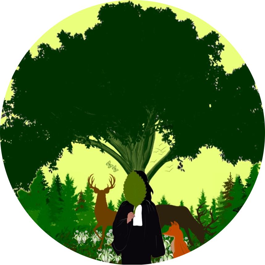 Logo Chailluz Forêt Vivante
